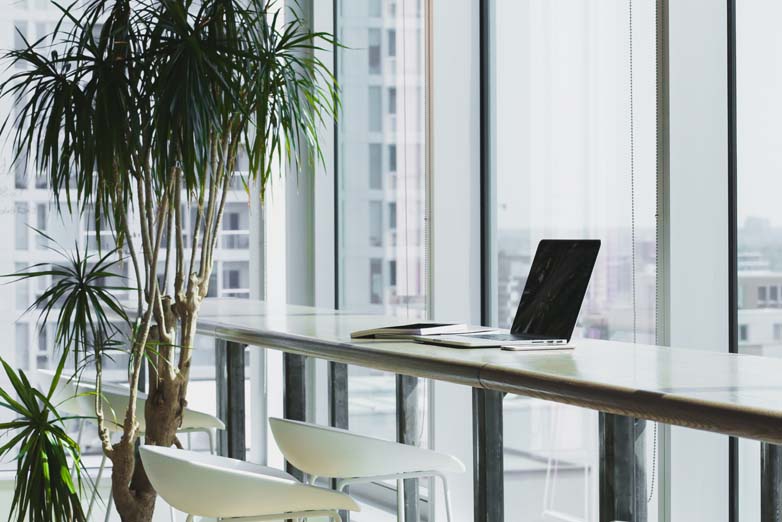 Management assistent en directiesecretaresse: meest kansrijke beroepen